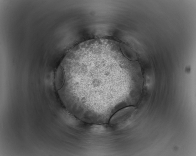 X0000101700519200807241436