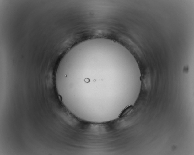 X0000101700520200807241436