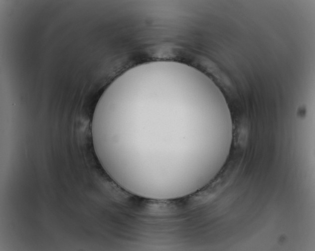 X0000101700521200807241435