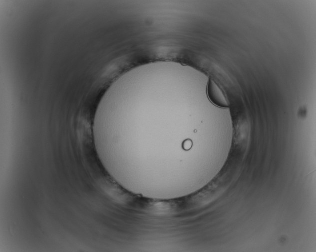 X0000101700522200807241435