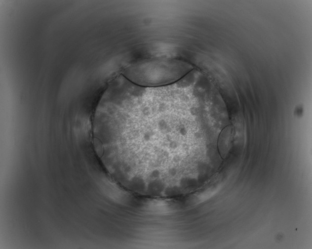 X0000101700523200807241435