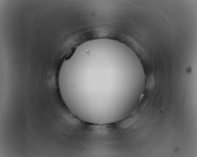 X0000101700524200807241435