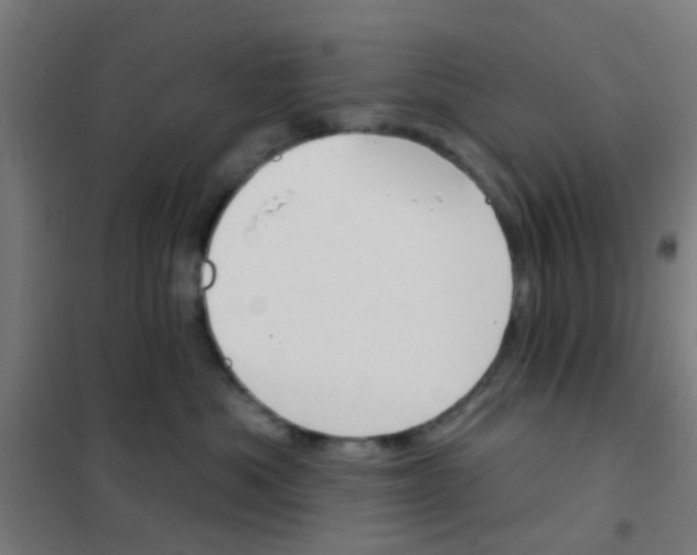 X0000101700525200807241435