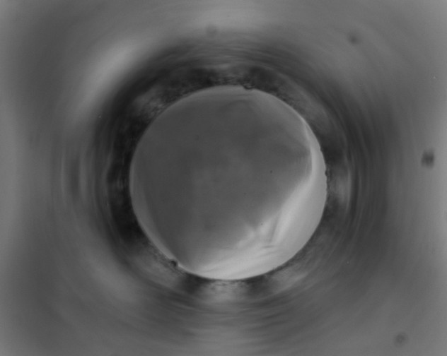 X0000101700526200807241435