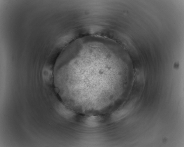 X0000101700527200807241435