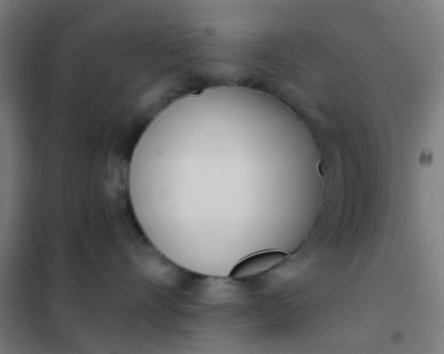 X0000101700528200807241435