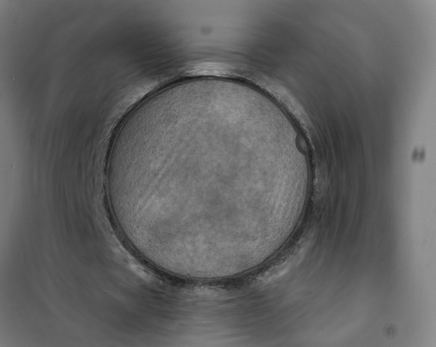 X0000101700529200807241435