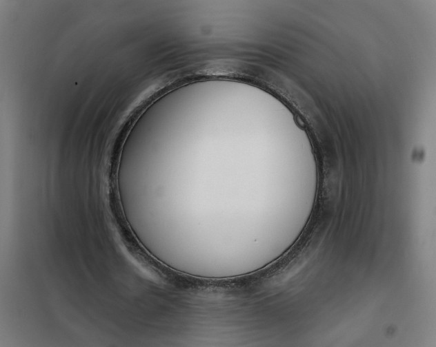 X0000101700530200807241435