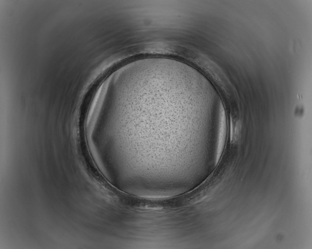 X0000101700531200807241435