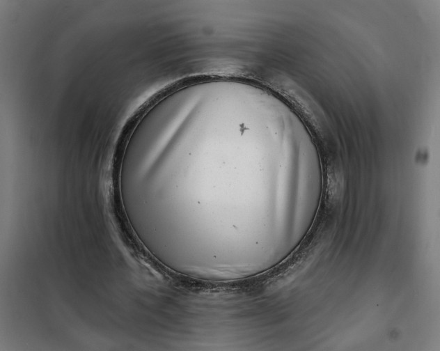 X0000101700532200807241435