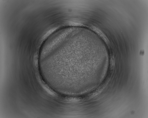 X0000101700533200807241435