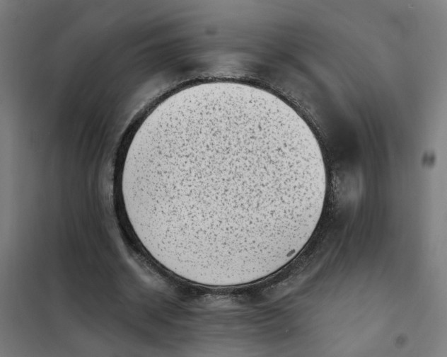 X0000101700534200807241435