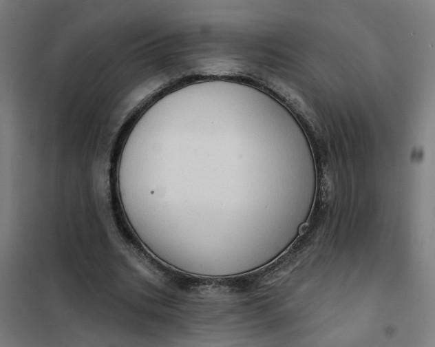 X0000101700535200807241435