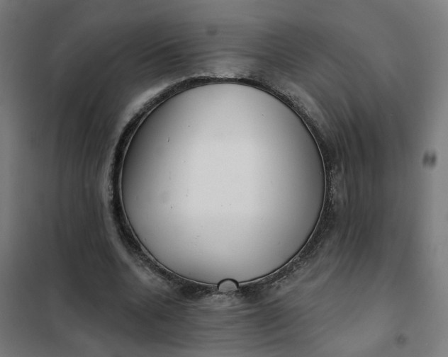 X0000101700536200807241435