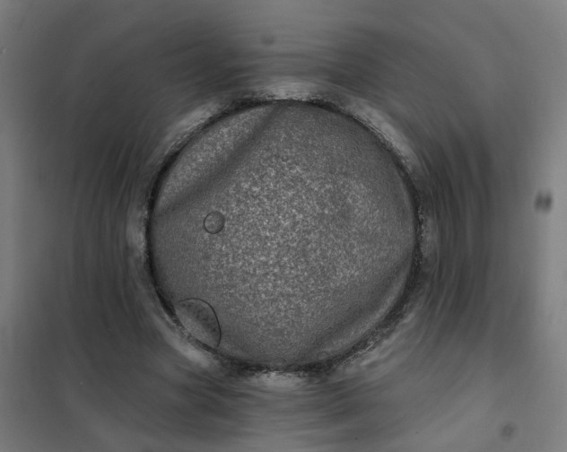 X0000101700537200807241435