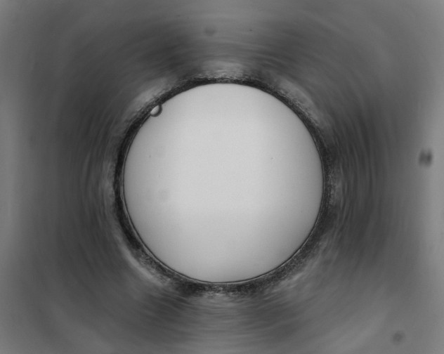 X0000101700538200807241435