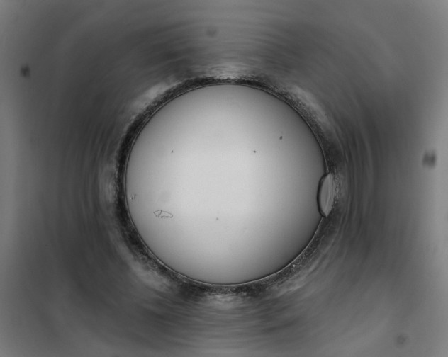 X0000101700540200807241435