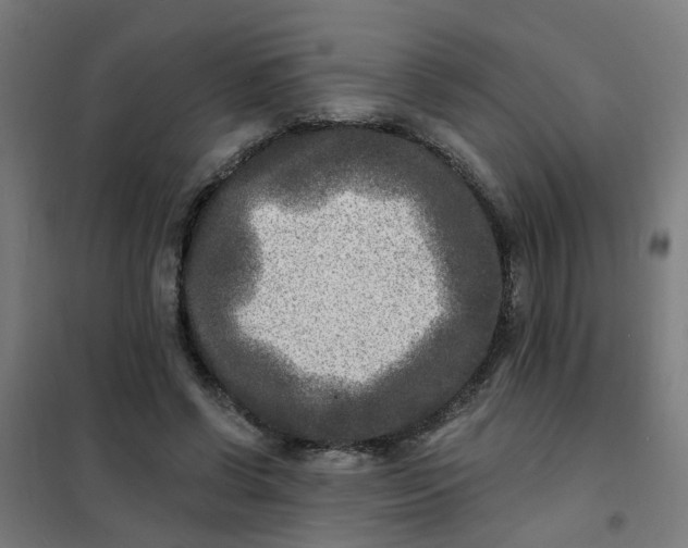 X0000101700542200807241435