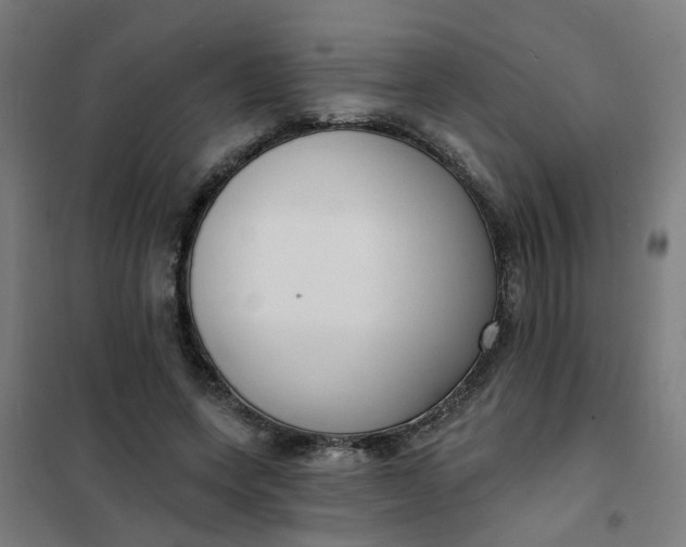 X0000101700543200807241435