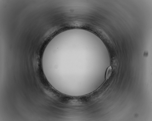 X0000101700544200807241435