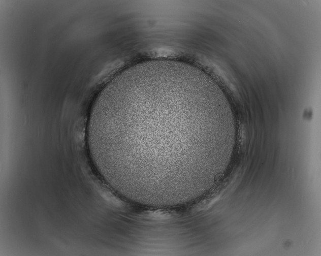 X0000101700545200807241435