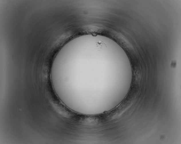 X0000101700546200807241435