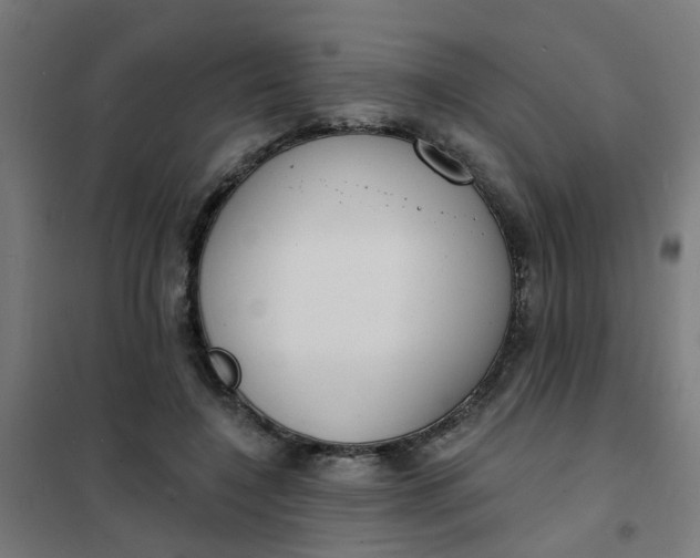 X0000101700548200807241435