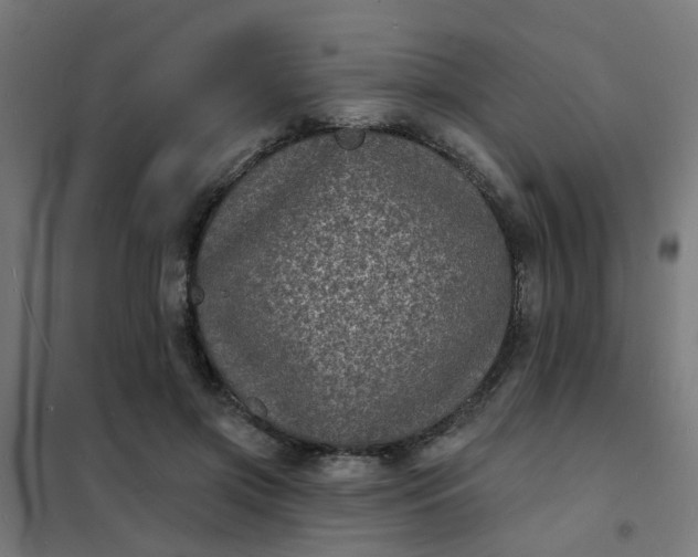 X0000101700549200807241435