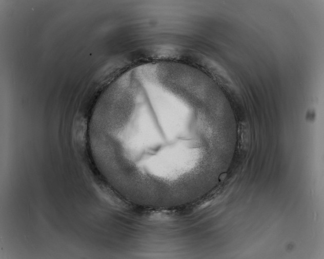 X0000101700550200807241435