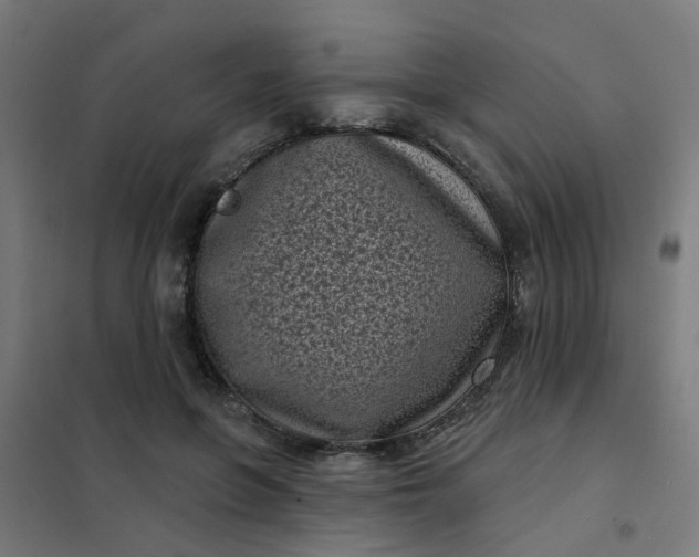 X0000101700551200807241435