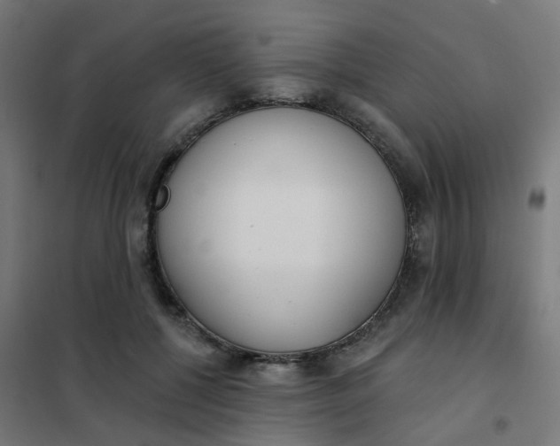 X0000101700552200807241435