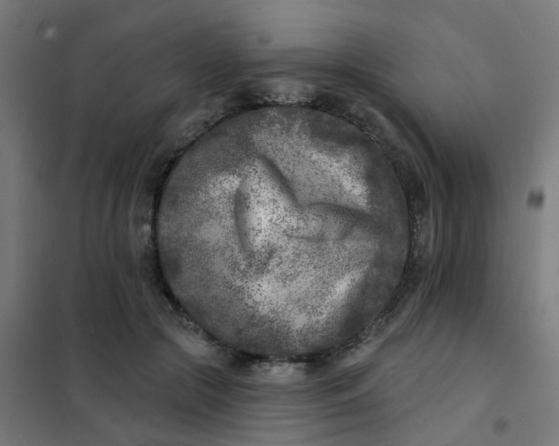 X0000101700553200807241435