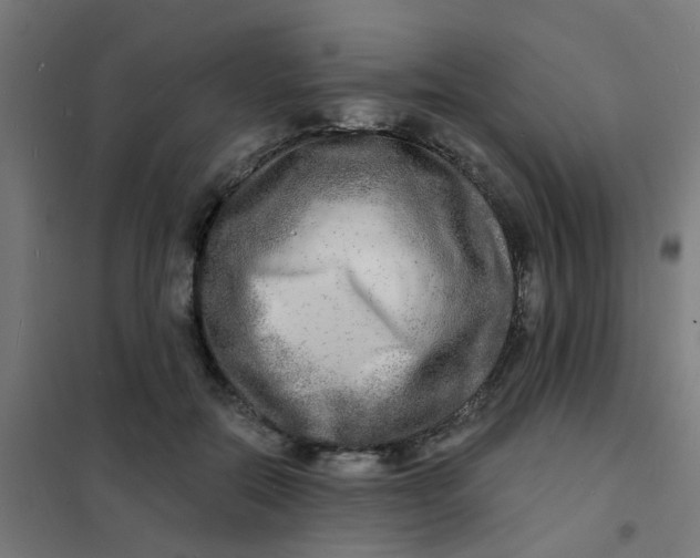 X0000101700554200807241435