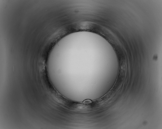 X0000101700555200807241435