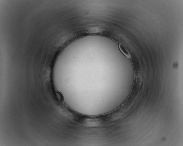 X0000101700556200807241435