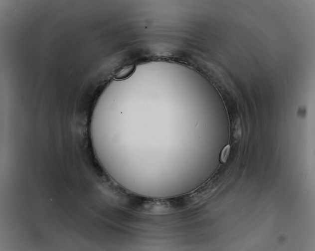 X0000101700559200807241435