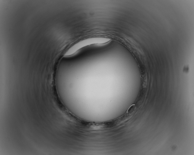 X0000101700560200807241435