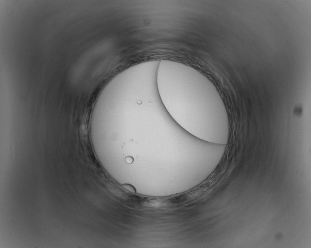 X0000101700561200807241435