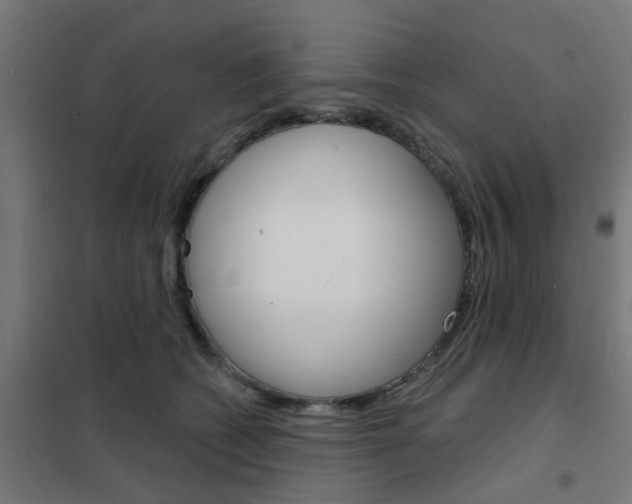 X0000101700562200807241435