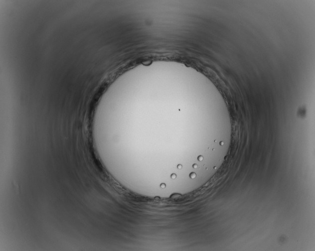 X0000101700564200807241435