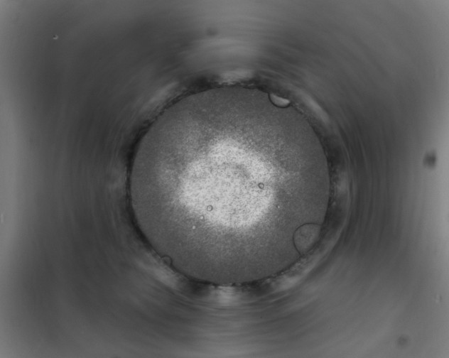 X0000101700565200807241435