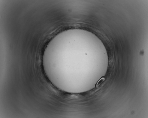 X0000101700566200807241435