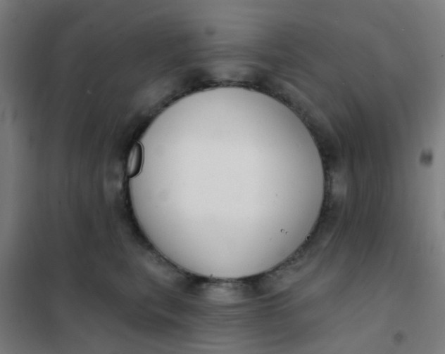 X0000101700567200807241435