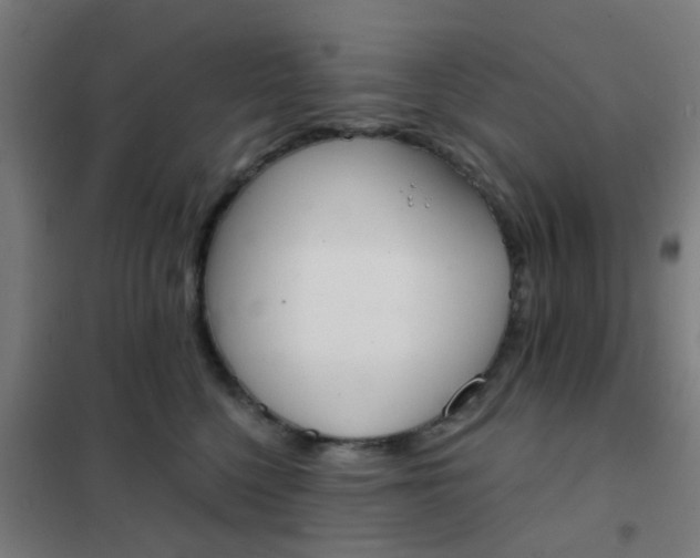 X0000101700568200807241435