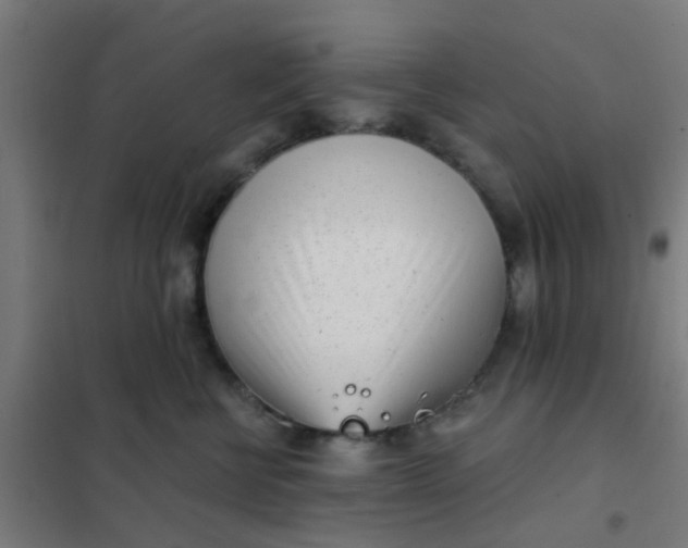 X0000101700570200807241435