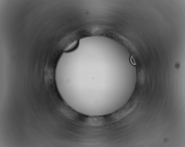 X0000101700571200807241435