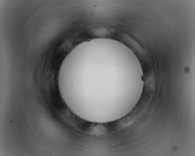 X0000101700572200807241435