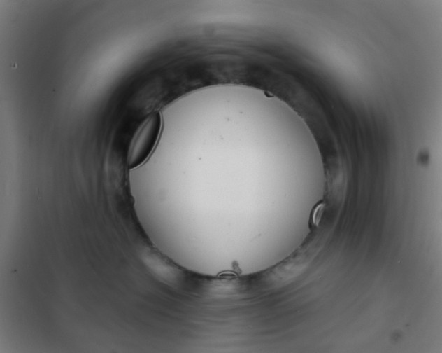 X0000101700574200807241435