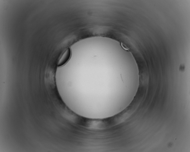 X0000101700575200807241435