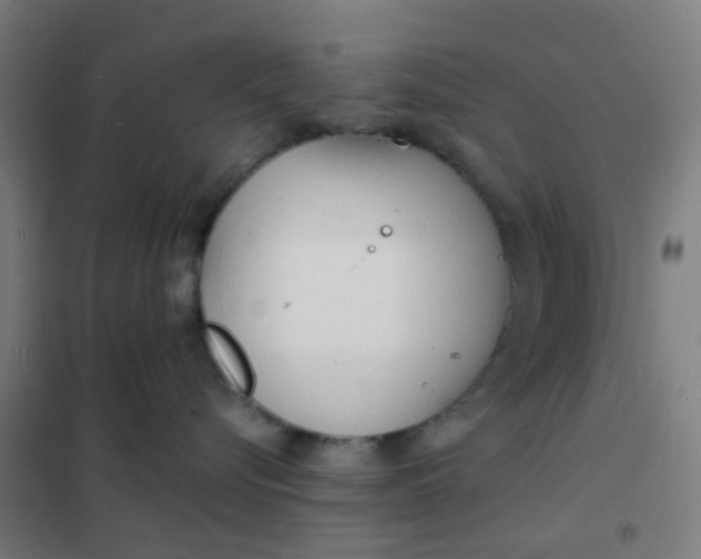 X0000101700576200807241435